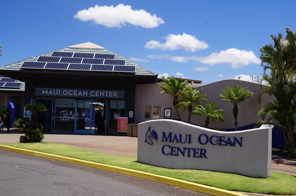 Der Eingang des Maui Ocean Center